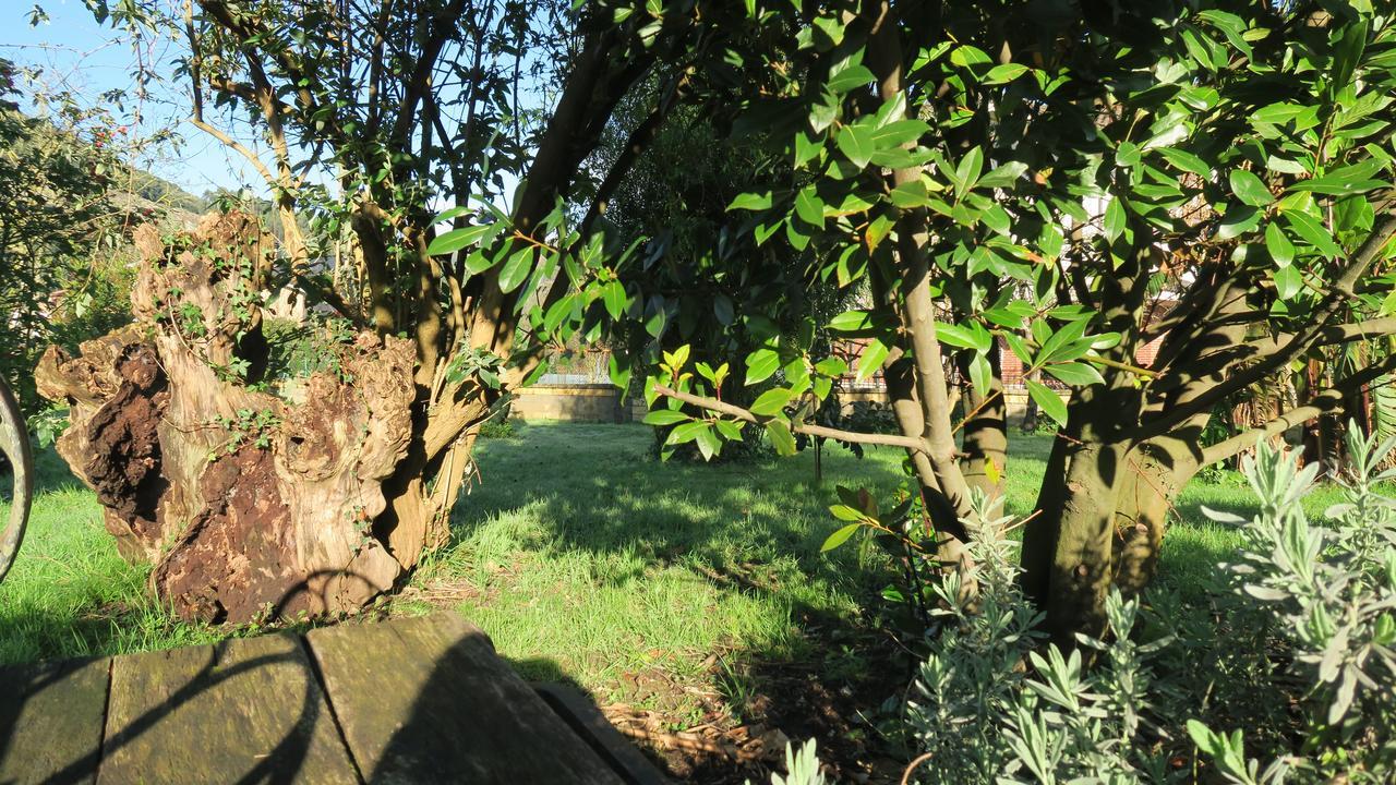 Posada Casa Rosalia Castro Urdiales Zewnętrze zdjęcie